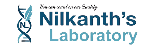 NL Footer Logo